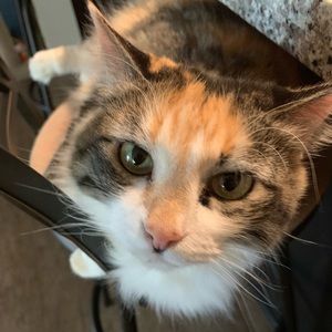 Meet your Posher, Rosemarie